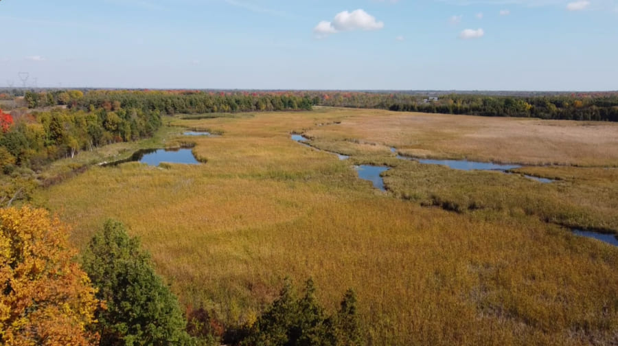 Land Donation Protects 360 acres of Wetlands, Forests at Motts Mills