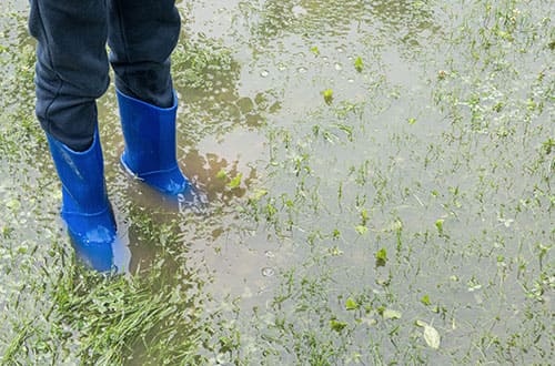 A person wearing rubber boots stands in water pooling on a lawn