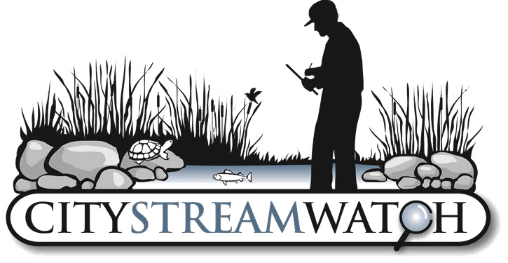 Logo featuring silhouette of person fishing in a stream