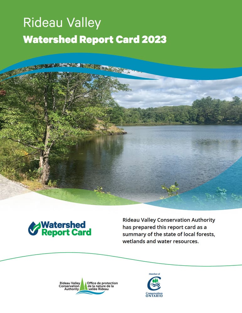 watershed report card