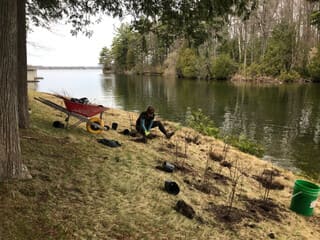 planting trees along shoreline