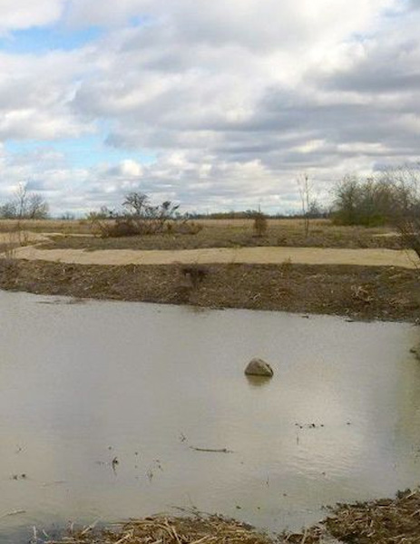 wetland restoration