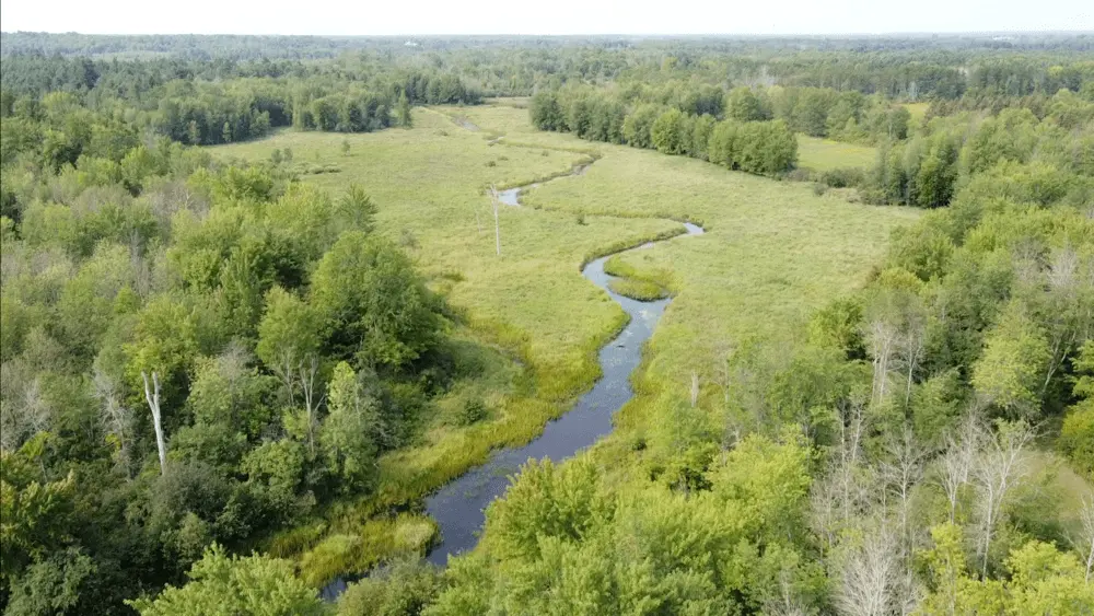 aerial view of creek and wetlands