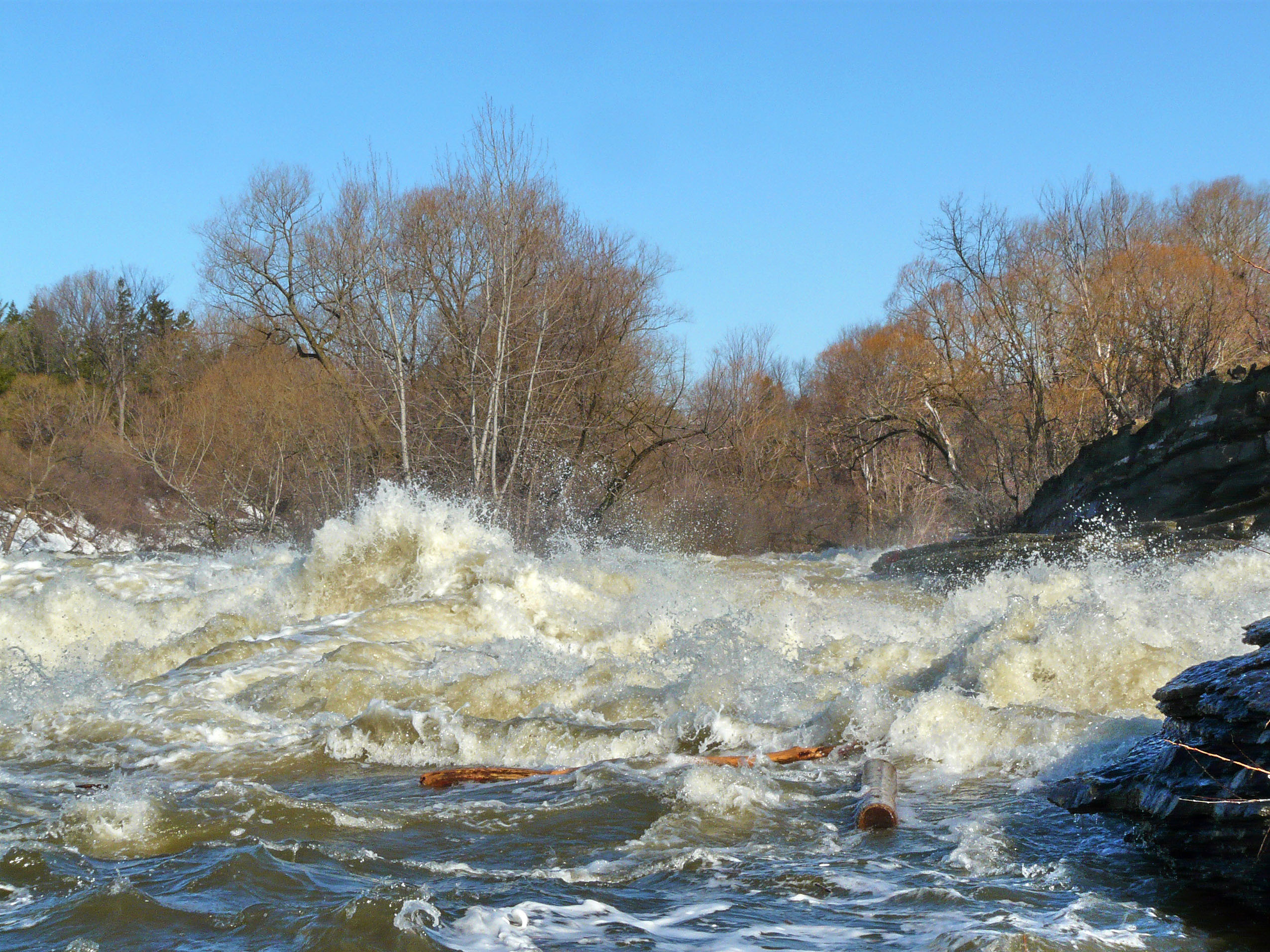 Rapids and high water rush past a shoreline