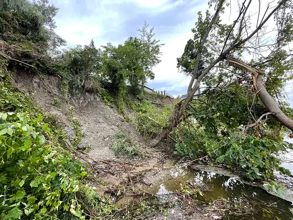 An eroded shoreline shows bare soil and broken trees