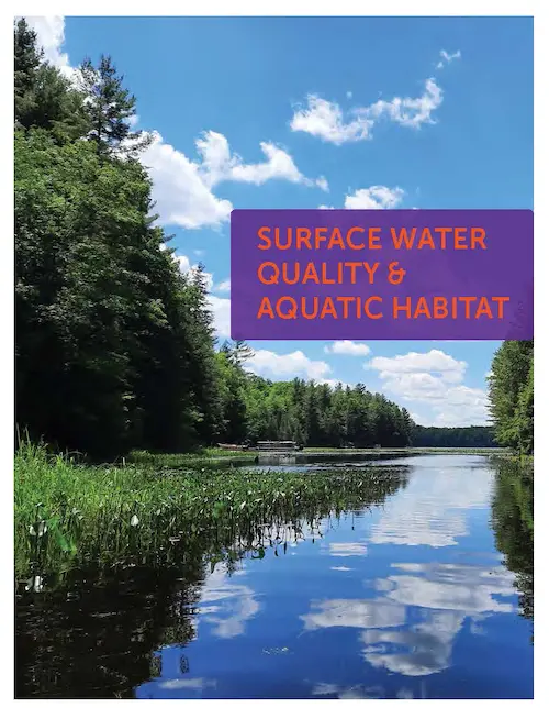 report cover for surface water conditions report