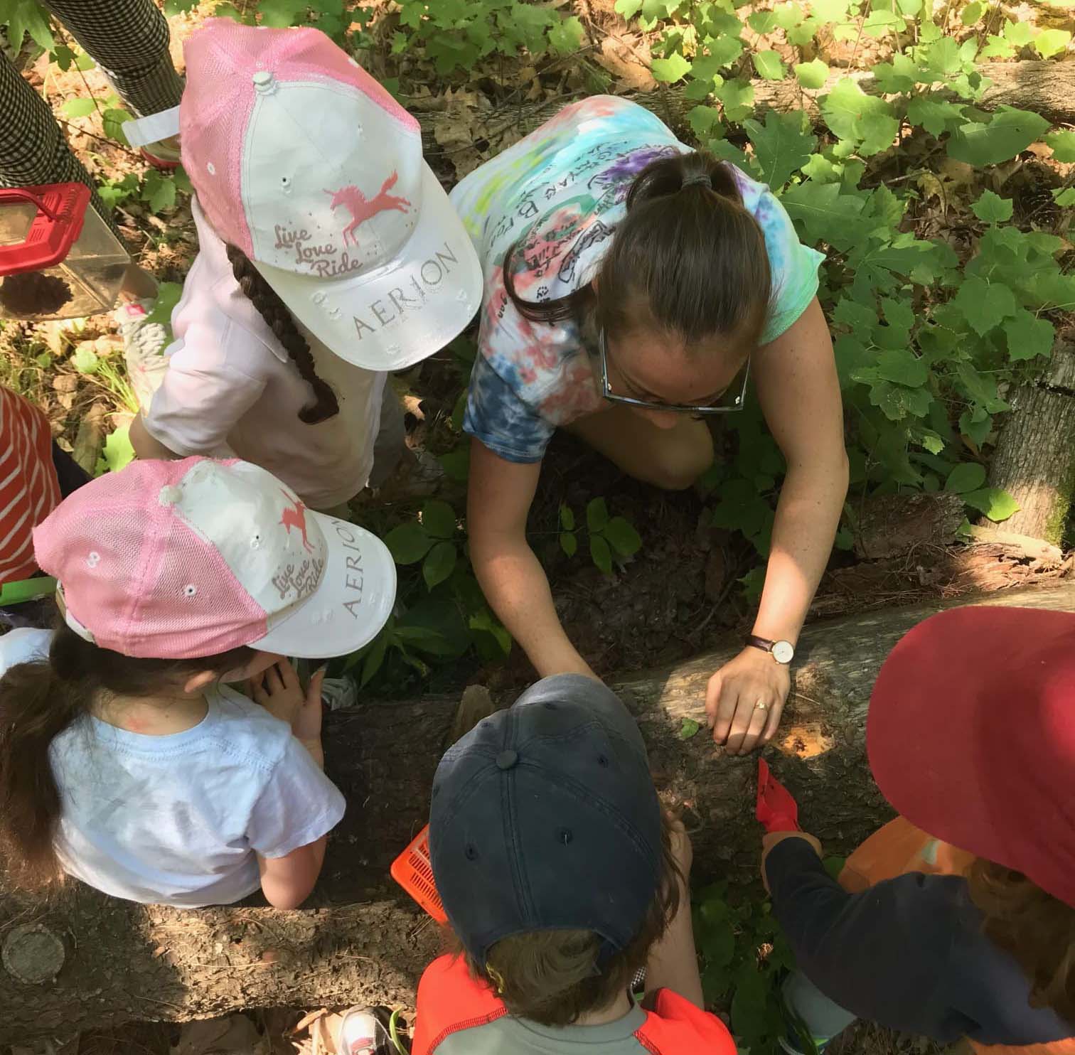 Campers huddle over a log to look at a cool bug