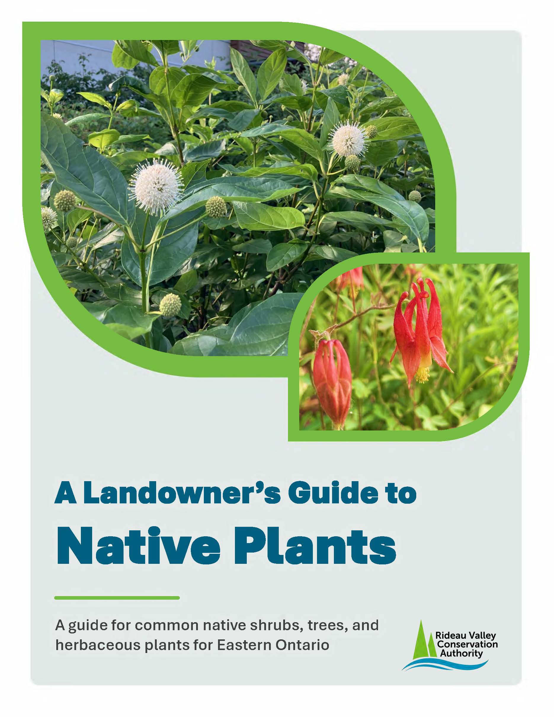 Cover of Native Plant Guide