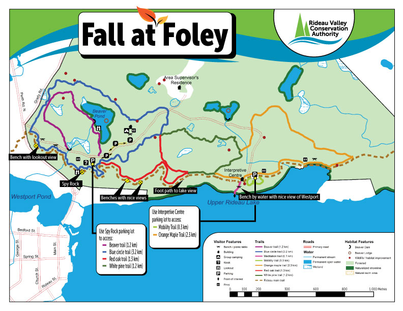 Foley Fall Colours MAP 2024