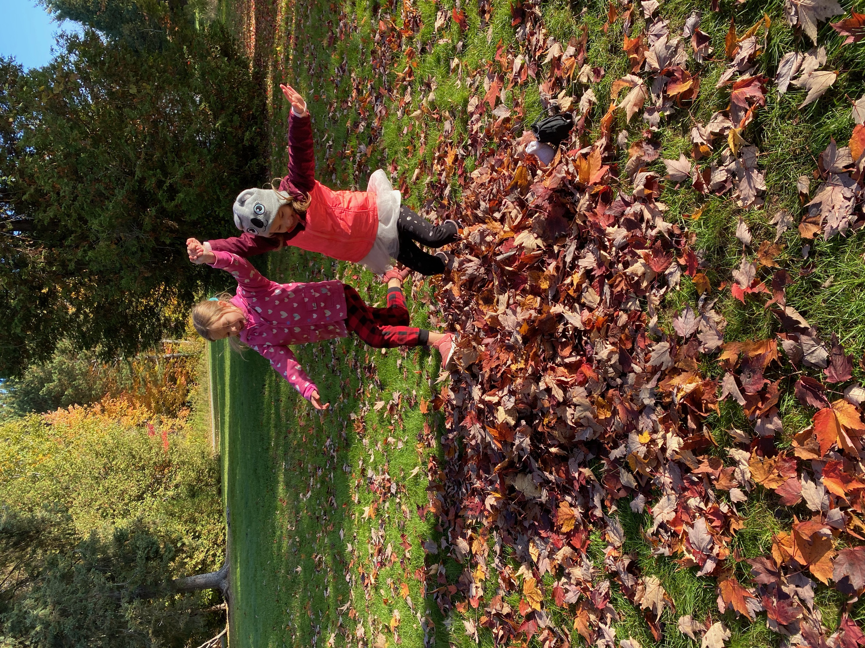 Children at Baxter playing in a pile of colourful Autumn leaves.