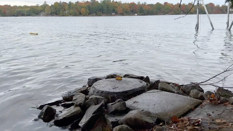 view of a lake from the shore