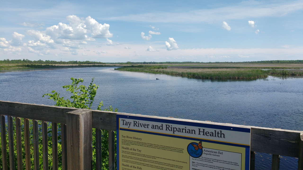 Broad view of an open wetland from a lookout