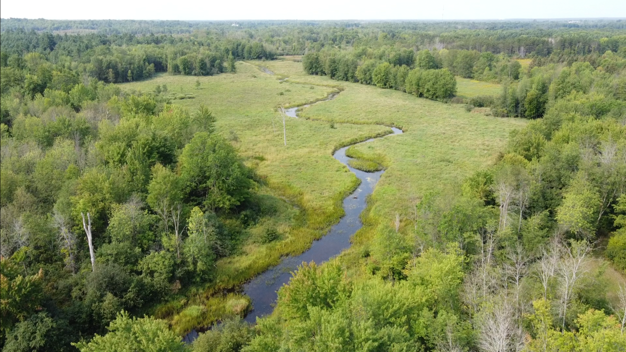 Aerial photo of a winding creek through a floodplain surrounded by trees