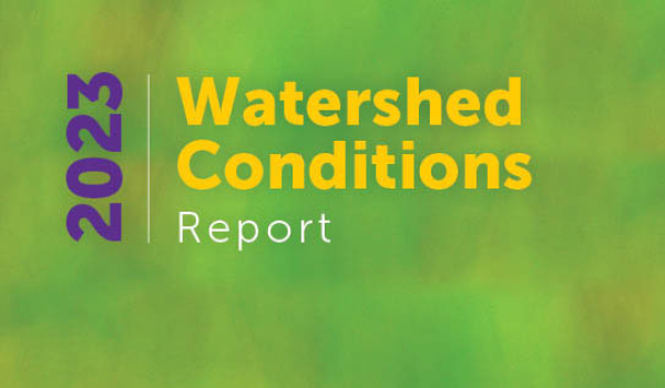 watershed conditions report