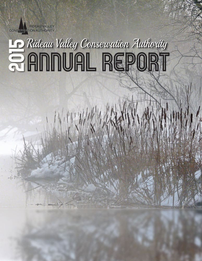 2015 Annual Report