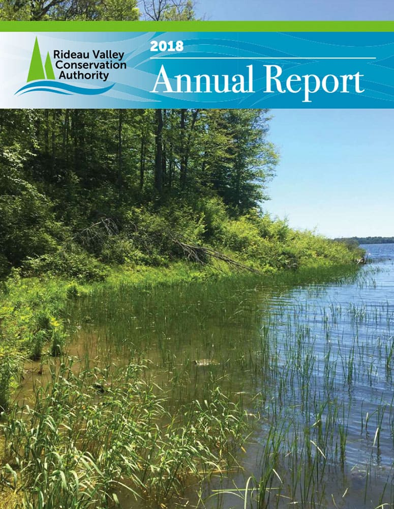 2018 Annual Report