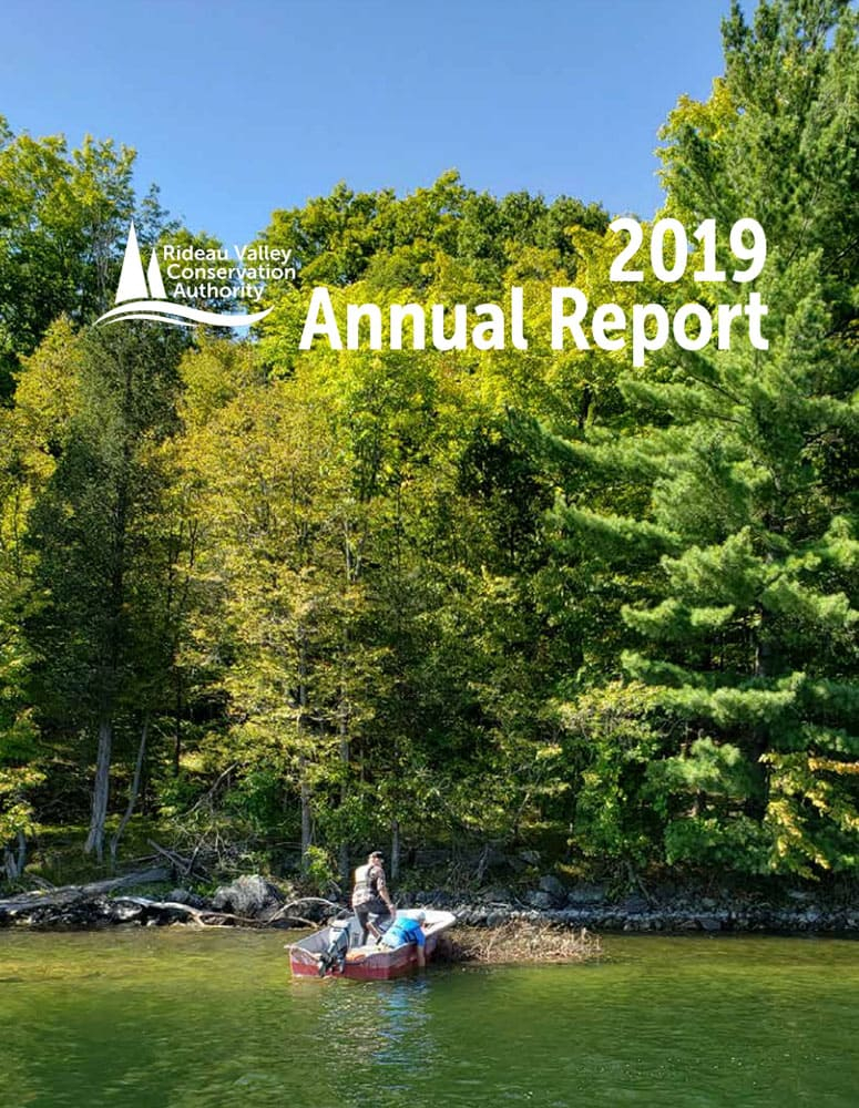 2019 Annual Report