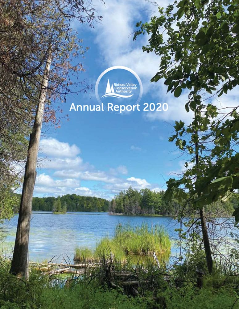 2020 Annual Report