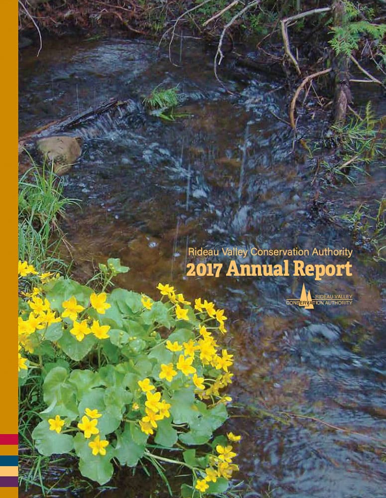 2017 Annual Report