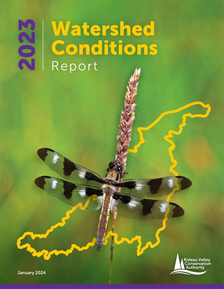 watershed conditions cover page image