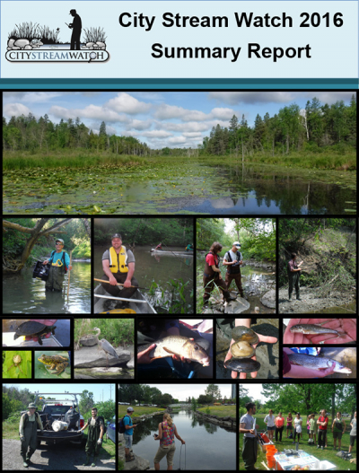 City Stream Watch 2016 Summary Report