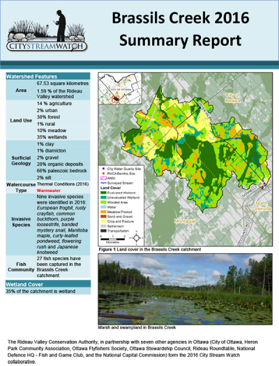 Brassils Creek - 2016  Summary Report