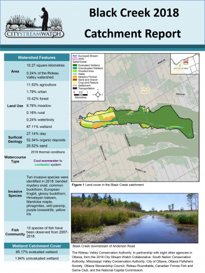 City Stream Watch 2018 Black Creek