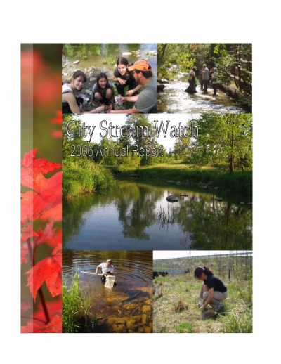 City Stream Watch 2006 - Annual Report