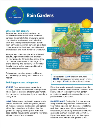 Rain Gardens