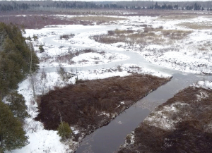 Winter Work on Hutton Creek Marsh Restoration Complete