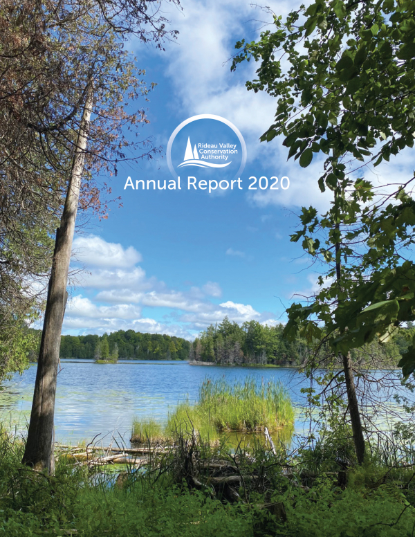 2020 Annual Report