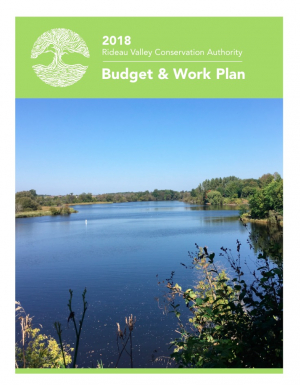 2018 Budget and Work Plan