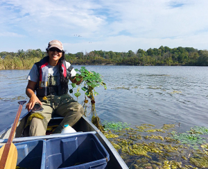 Seeking Volunteer “Scientists” for City Stream Watch Program