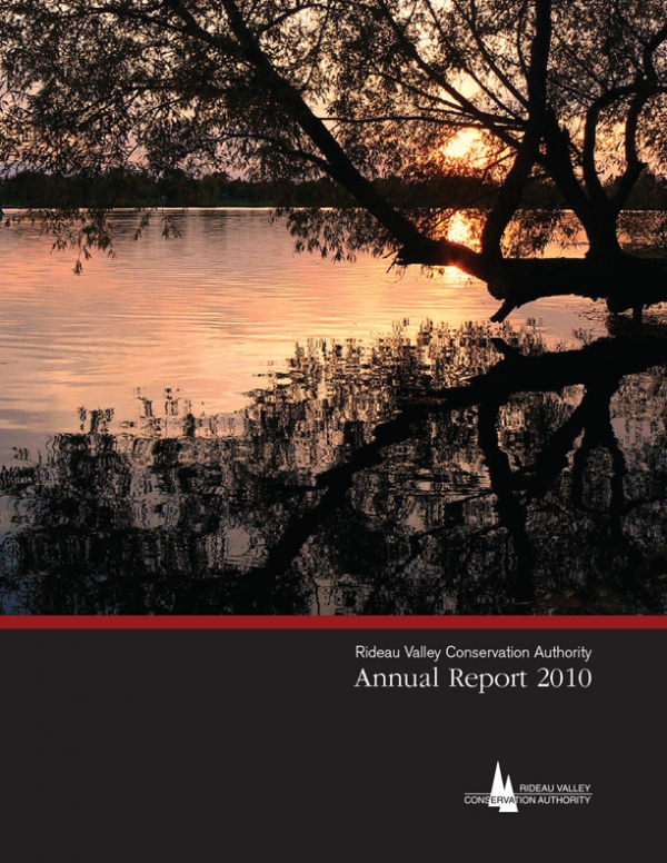 2010 Annual Report