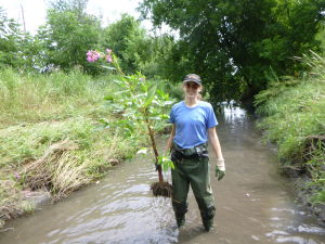 Seeking volunteer &#039;scientists&#039; to monitor Ottawa’s streams