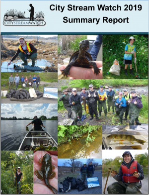 City Stream Watch 2019 Summary Report