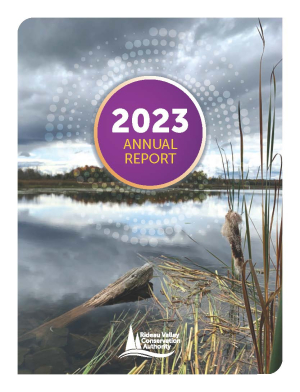 Building Bridges: Annual Report highlights year of collaboration, connection