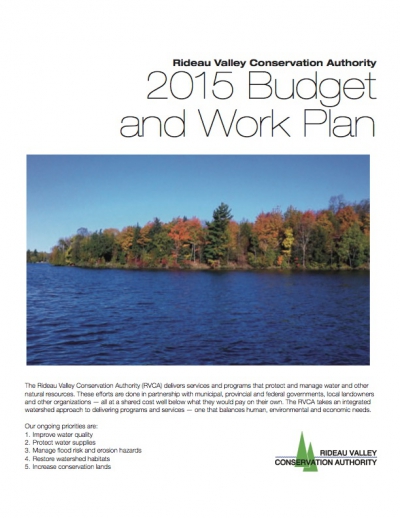 2015 Budget and Work Plan