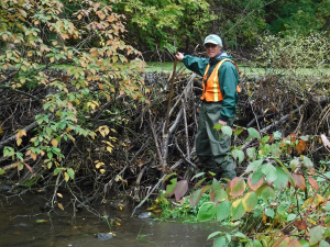 Volunteer makes a splash with conservation authority