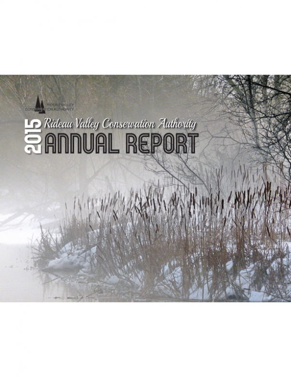 2015 Annual Report