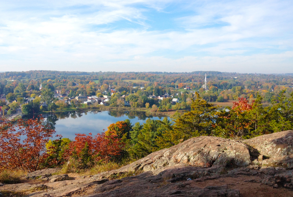 Foley Fall Colours