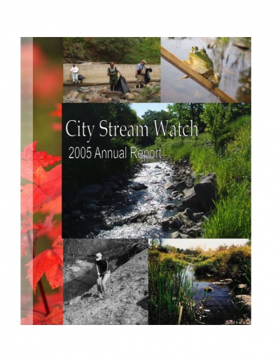 City Stream Watch 2005 - Annual Report