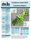 Cranberry Creek 2013 - Summary Report