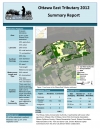 Ottawa East Tributary 2012 - Summary Report