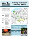 Bilberry Creek 2009 - Summary Report