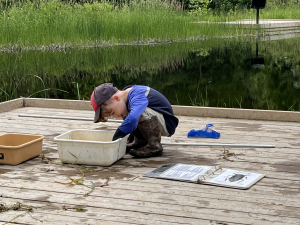 Try Forest School this summer during Baxter’s drop-in days!