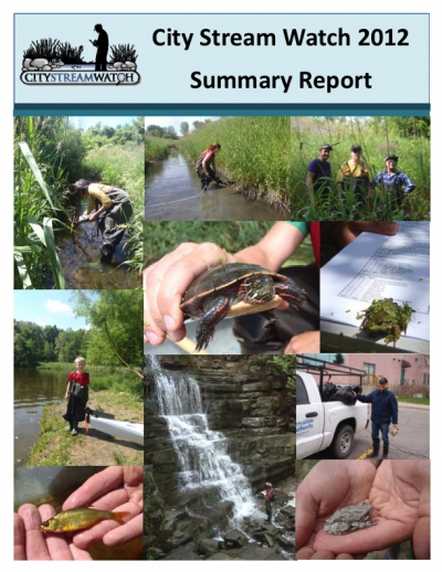 City Stream Watch 2012 Summary Report