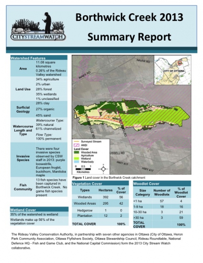 Borthwick Creek 2013 - Summary Report