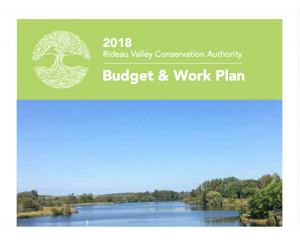 2018 Budget &amp; Work Plan