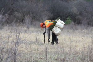 Landowners wanted! Book your 2020 tree planting site visit today